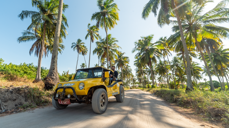 passeio de buggy personalizado